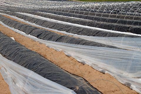 agrotextiles